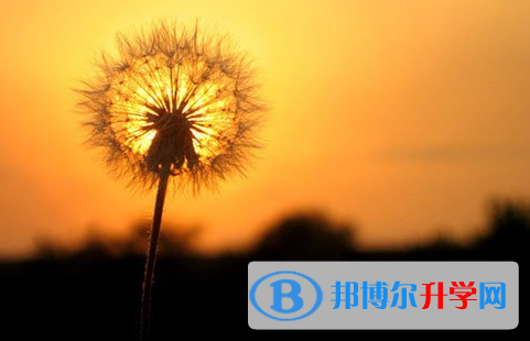 瀘州2021年中考網(wǎng)報(bào)