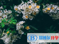 瀘州2021年中考網(wǎng)上報名