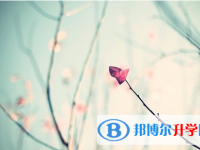 瀘州2021年中考志愿怎么填報(bào)