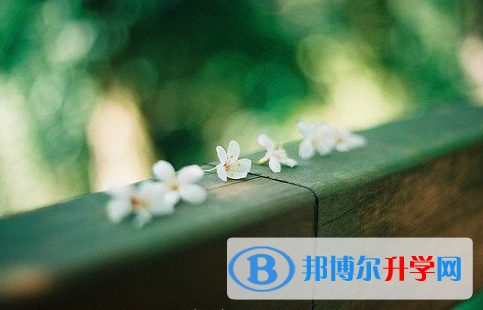 瀘州2021年中考自主招生報(bào)名