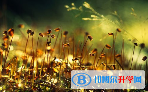 瀘州2021年中考自主招生報(bào)名有哪些學(xué)校