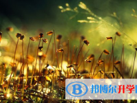 瀘州2021年中考自主招生報(bào)名有哪些學(xué)校