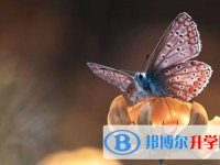 瀘州2021年中考各科高頻考點(diǎn)