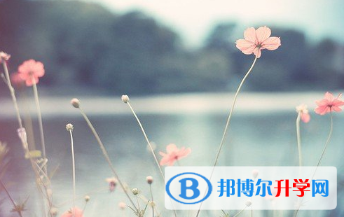 瀘州2021年中考重點(diǎn)復(fù)習(xí)