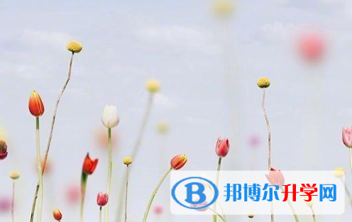 瀘州2021年中考后可以上什么學(xué)校