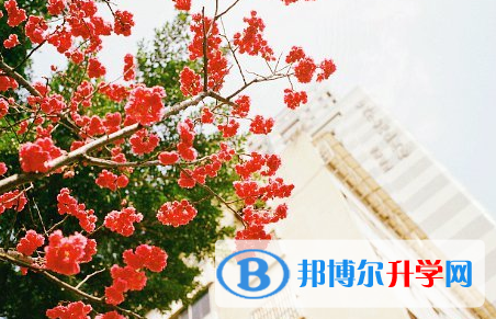 瀘州2021年怎樣才能參加中考