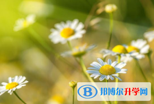 瀘州2021年中考報(bào)名是哪個(gè)網(wǎng)站