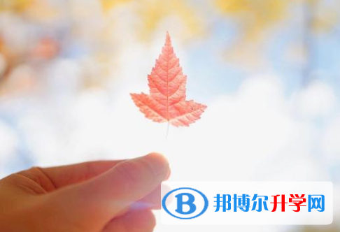 瀘州2021年中考報名網(wǎng)站登錄