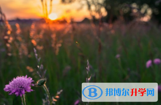 瀘州2021年中考報(bào)名網(wǎng)站是什么