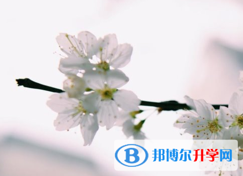 瀘州2021年中考報(bào)名系統(tǒng)網(wǎng)址