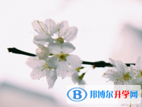 瀘州2021年中考報名系統(tǒng)網(wǎng)址