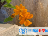 瀘州2021年中考模擬填報(bào)志愿