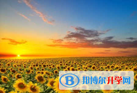 瀘州2021年中考志愿如何填報(bào)