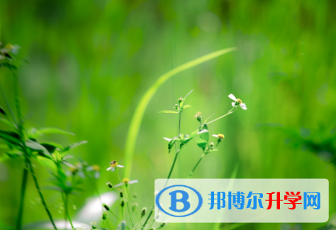 瀘州2021年中考志愿填報(bào)網(wǎng)址