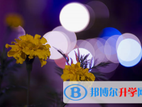 德陽2021年教育網(wǎng)中考查詢