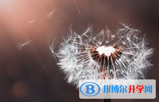 德陽2021年中考網(wǎng)錄取系統(tǒng)