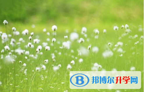 德陽2021年中考網(wǎng)絡應用服務平臺