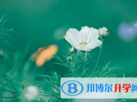 德陽2021年今年中考統(tǒng)招線包括哪些區(qū)域