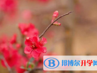 綿陽(yáng)2021年中考查詢成績(jī)網(wǎng)址