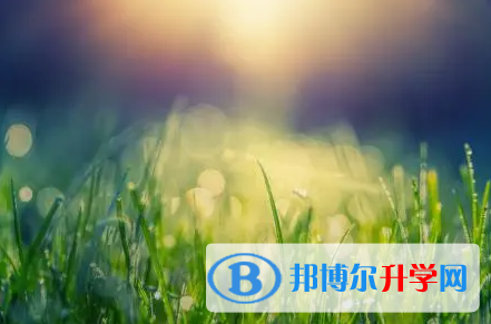 綿陽2021年教育網(wǎng)中考查詢