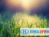 綿陽2021年教育網(wǎng)中考查詢