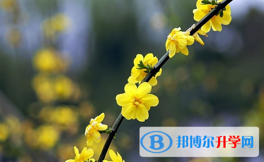 綿陽(yáng)2021年中考報(bào)考人數(shù)