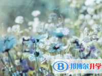 綿陽2021年中考報(bào)名號