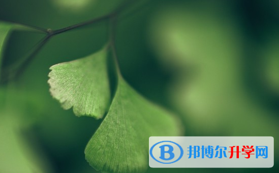 綿陽(yáng)2021年中考查詢