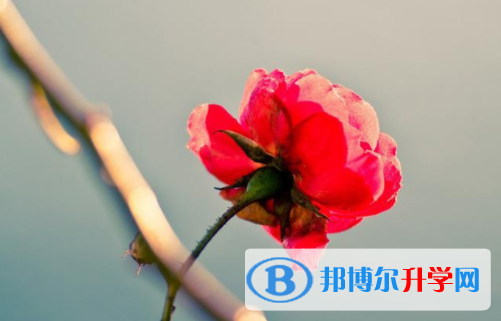 綿陽(yáng)2021年中考成績(jī)出來(lái)了嗎