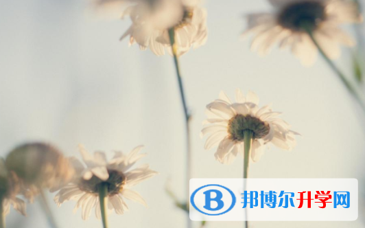 綿陽2021年中考成績怎樣查詢