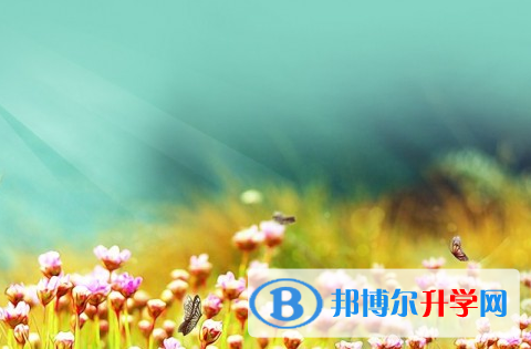 綿陽(yáng)2021年中考考點(diǎn)有哪幾個(gè)