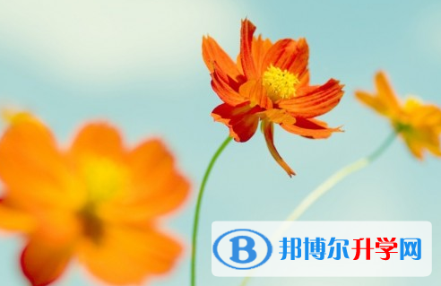 綿陽(yáng)2021年中考錄取報(bào)名網(wǎng)