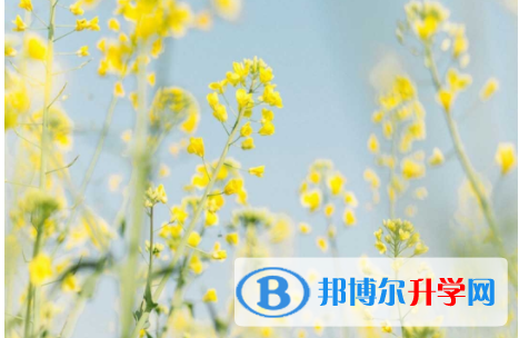 綿陽2021年中考特長(zhǎng)生招生簡(jiǎn)章