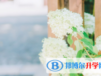 綿陽(yáng)2021年中考填志愿的網(wǎng)站