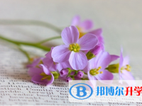 綿陽2021年中考網(wǎng)上報名