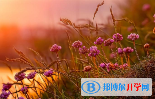 綿陽(yáng)2021年中考網(wǎng)上報(bào)名模擬