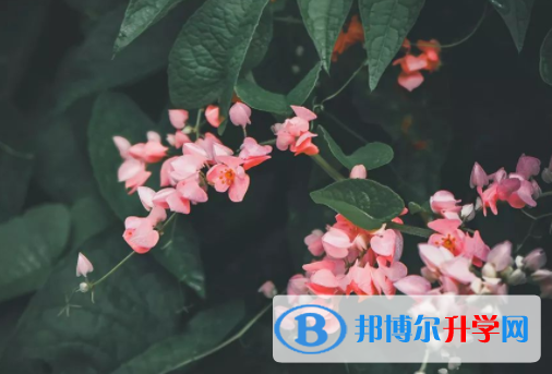 綿陽(yáng)2021年中考網(wǎng)上模擬報(bào)名