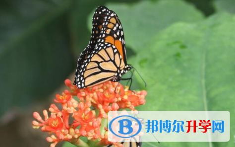 綿陽(yáng)2021年中考招生辦