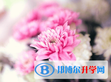 綿陽(yáng)2021年中考重點(diǎn)復(fù)習(xí)資料