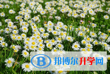 綿陽(yáng)2021年中考自主招生報(bào)名