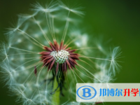 綿陽(yáng)2022年中考推薦生自薦信