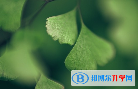 綿陽2022年中考重點復(fù)習(xí)