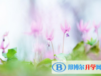 綿陽(yáng)2022年中考有不有補(bǔ)錄