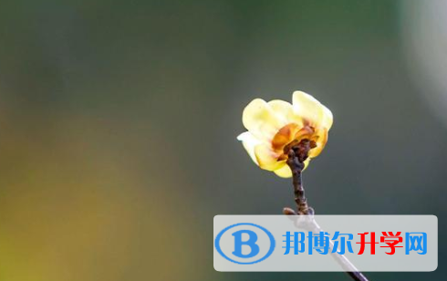 綿陽2022年中考需要準(zhǔn)備什么