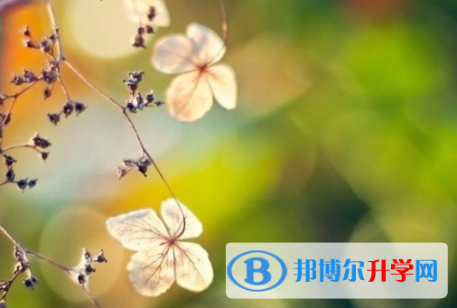 綿陽(yáng)2022年中考填報(bào)志愿后還可以改嗎