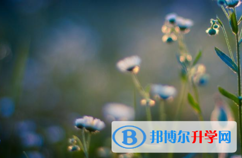 綿陽2022年中考怎么填志愿才可以上到好的學(xué)校