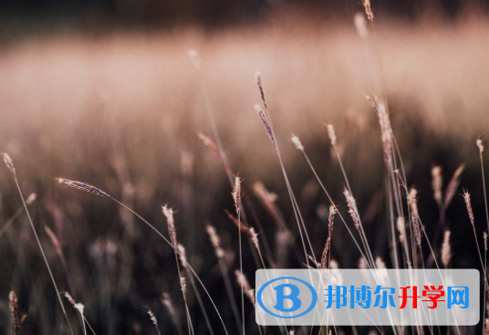 綿陽(yáng)2022年中考志愿填報(bào)技巧