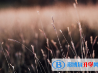 綿陽2022年中考志愿填報(bào)技巧