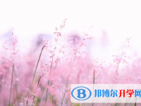 綿陽2022年中考志愿填報(bào)網(wǎng)址