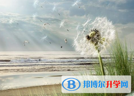 廣元2022年中考報(bào)名系統(tǒng)